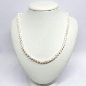 cf4aa7c0cbde35d6716dccca3f12a204