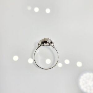 61b1fe2021328c9302cddfc2476cf1f0