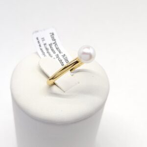 0839b9172569cab9d9a55e89021c2238