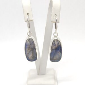 e58d49d5a7a08f1669106c1580611d4e